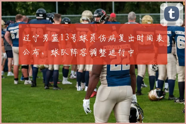 辽宁男篮13号球员伤病复出时间表公布，球队阵容调整进行中