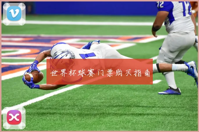 世界杯球赛门票购买指南