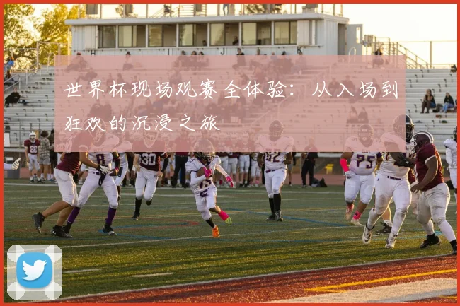 世界杯现场观赛全体验:从入场到狂欢的沉浸之旅