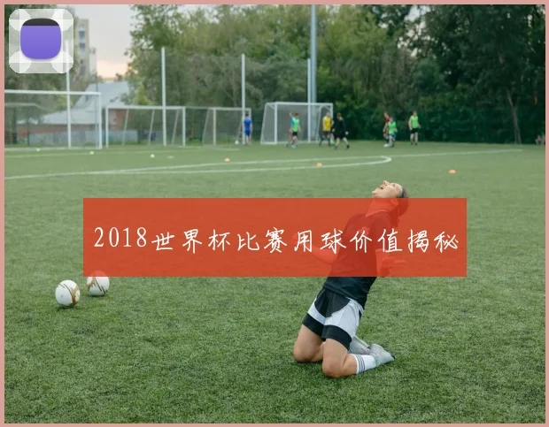 2018世界杯比赛用球价值揭秘