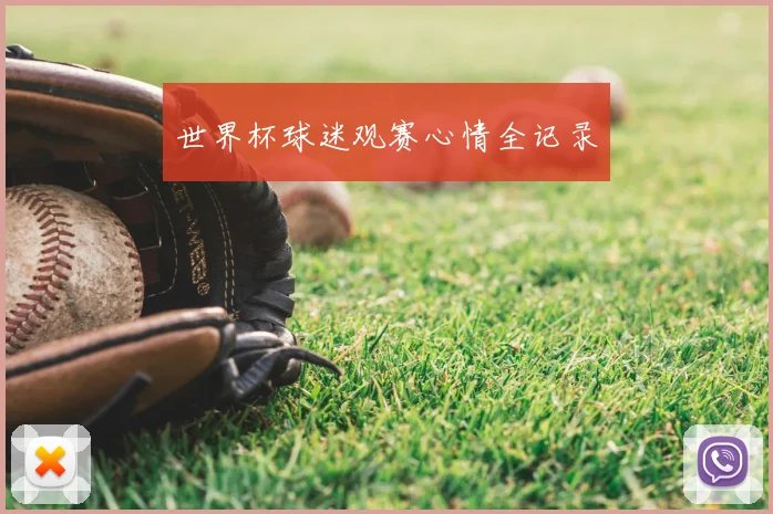 世界杯球迷观赛心情全记录